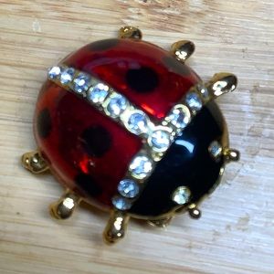 Lady Bug Rhinestone Red Black Enamel Brooch Pin